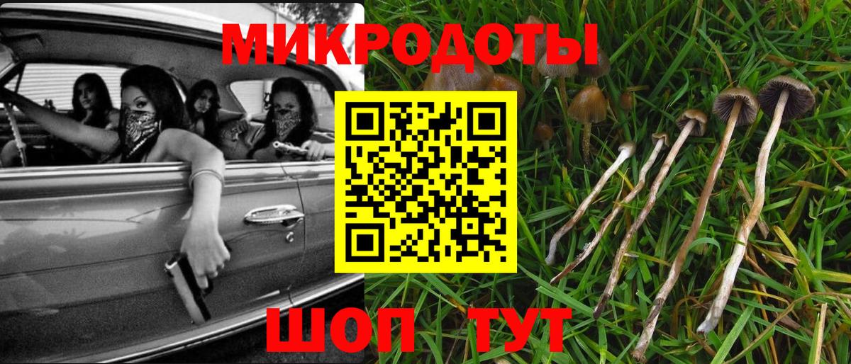 Галлюциногенные грибы Cubensis Гусев