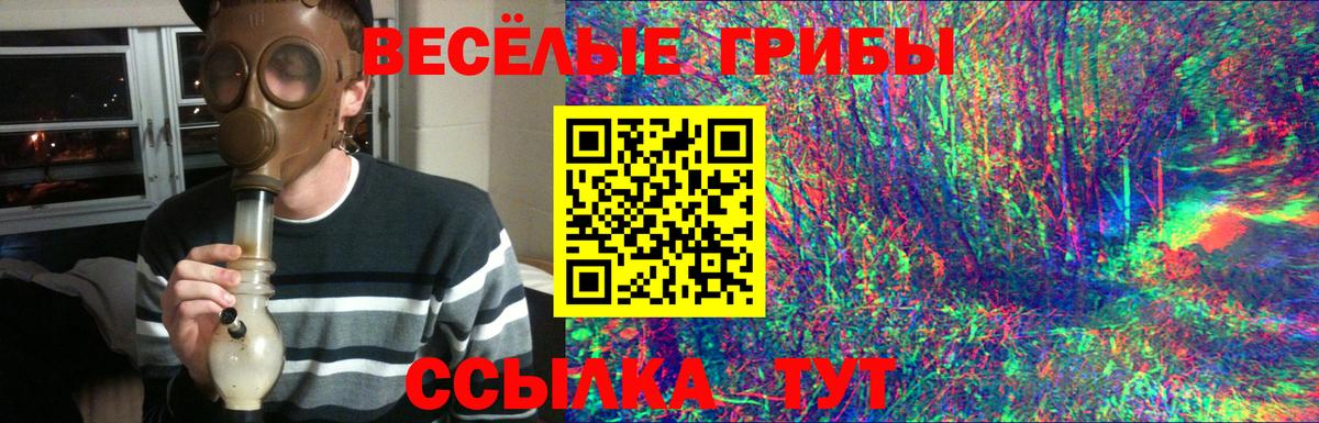 Гусев  Псилоцибиновые грибы прущие грибы  где можно купить наркотик  Галлюциногенные грибы Psilocybine cubensis  Вход с VPN 